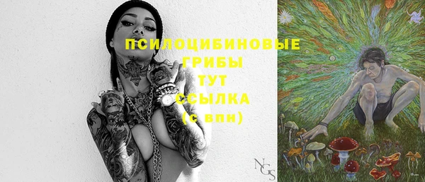 мет Протвино