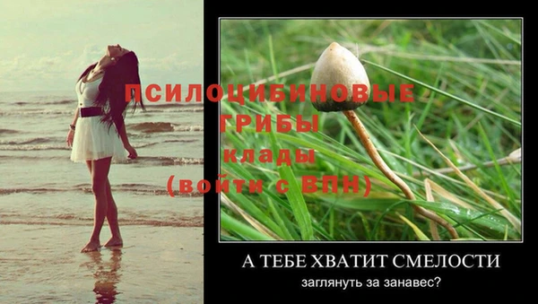 mdma Покачи