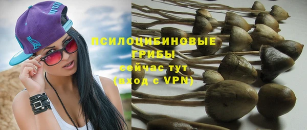 мет Протвино