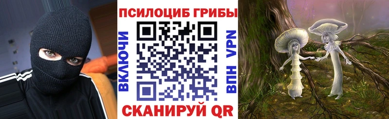 Псилоцибиновые грибы Psilocybe где продают наркотики Соликамск